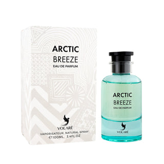 Arctic Breeze EDP 100 ml – Volaré